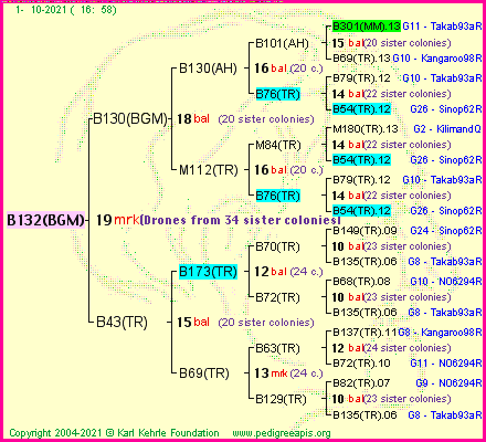 Pedigree of B132(BGM) :
four generations presented
it's temporarily unavailable, sorry!