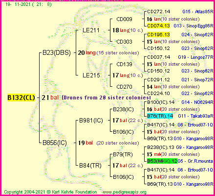 Pedigree of B132(CL) :
four generations presented
it's temporarily unavailable, sorry!