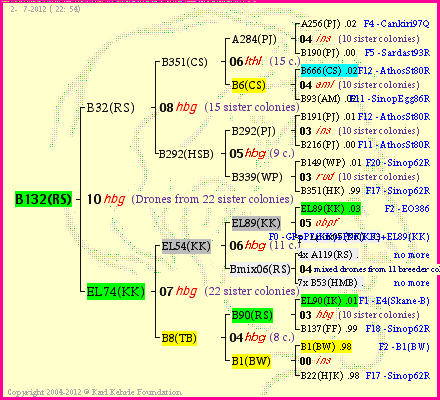 Pedigree of B132(RS) :
four generations presented