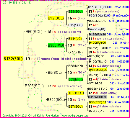 Pedigree of B132(SOL) :
four generations presented
it's temporarily unavailable, sorry!