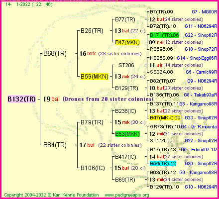 Pedigree of B132(TR) :
four generations presented
it's temporarily unavailable, sorry!