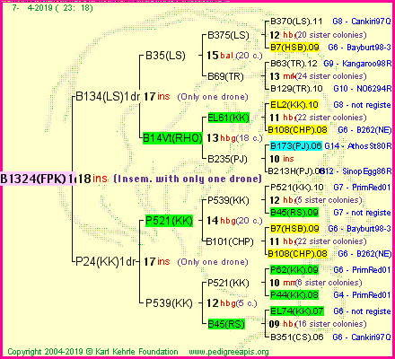 Pedigree of B1324(FPK)1dr :
four generations presented
it's temporarily unavailable, sorry!