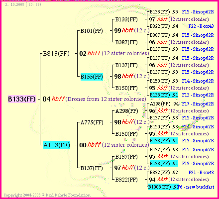 Pedigree of B133(FF) :
four generations presented