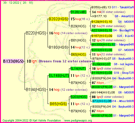 Pedigree of B133(HGS) :
four generations presented
it's temporarily unavailable, sorry!