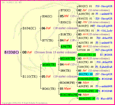 Pedigree of B133(IC) :
four generations presented