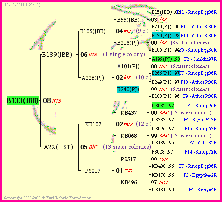 Pedigree of B133(JBB) :
four generations presented