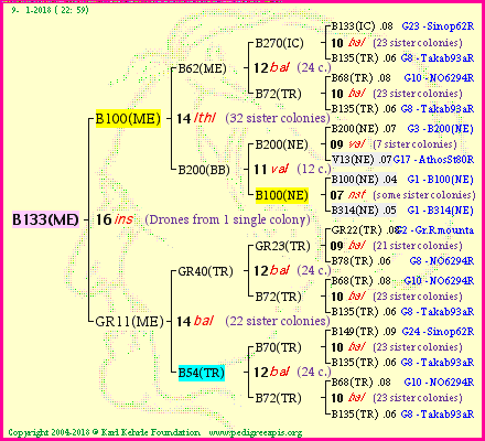 Pedigree of B133(ME) :
four generations presented<br />it's temporarily unavailable, sorry!