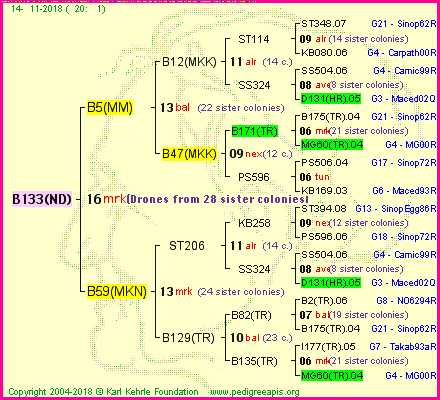 Pedigree of B133(ND) :
four generations presented<br />it's temporarily unavailable, sorry!