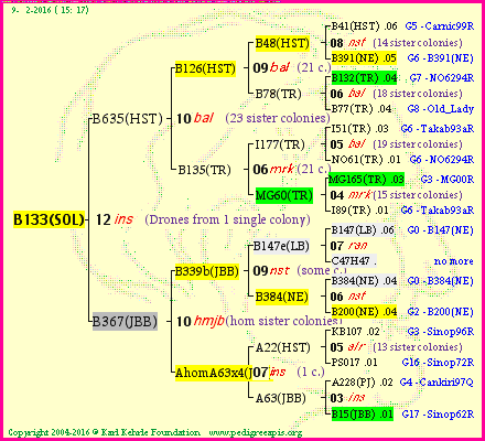 Pedigree of B133(SOL) :
four generations presented