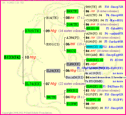 Pedigree of B133(TK) :
four generations presented