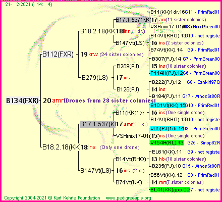 Pedigree of B134(FXR) :
four generations presented
it's temporarily unavailable, sorry!