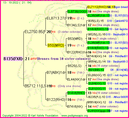 Pedigree of B135(FXR) :
four generations presented
it's temporarily unavailable, sorry!