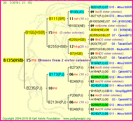 Pedigree of B135(HSB) :
four generations presented<br />it's temporarily unavailable, sorry!