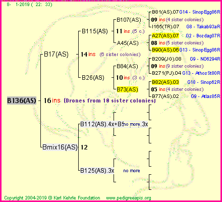 Pedigree of B136(AS) :
four generations presented<br />it's temporarily unavailable, sorry!