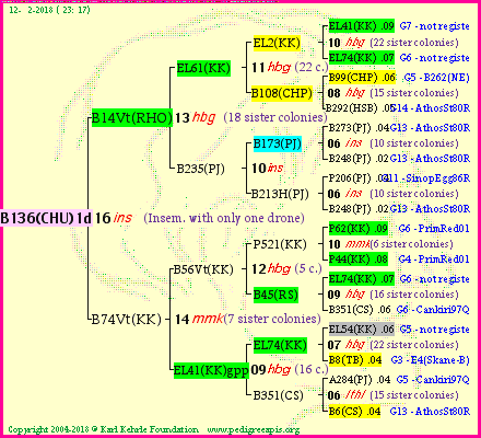 Pedigree of B136(CHU)1dr :
four generations presented<br />it's temporarily unavailable, sorry!