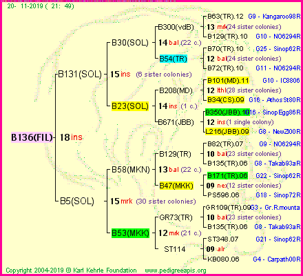 Pedigree of B136(FIL) :
four generations presented<br />it's temporarily unavailable, sorry!