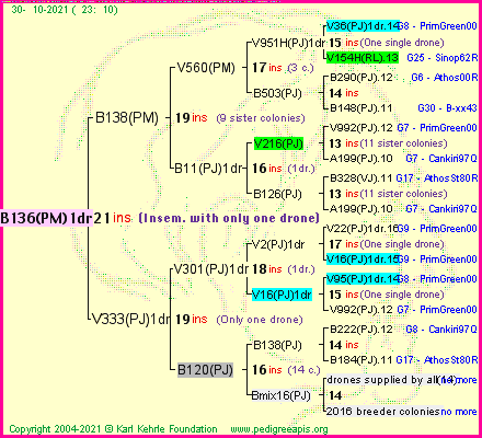 Pedigree of B136(PM)1dr :
four generations presented
it's temporarily unavailable, sorry!