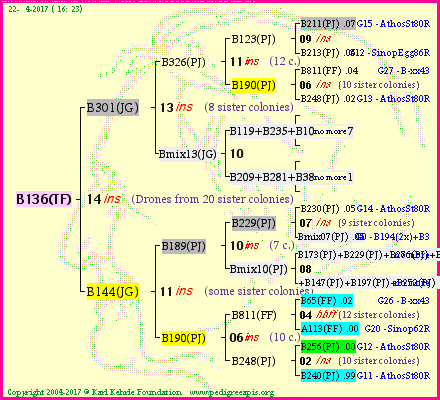 Pedigree of B136(TF) :
four generations presented<br />it's temporarily unavailable, sorry!