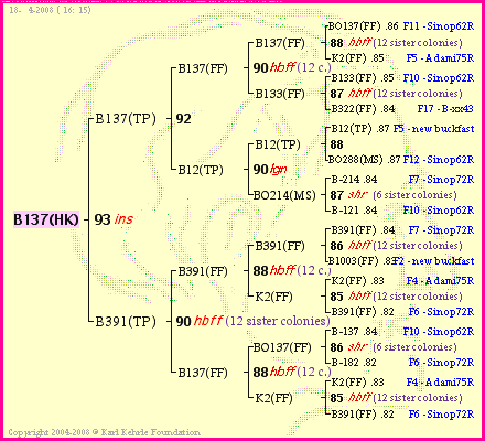 Pedigree of B137(HK) :
four generations presented