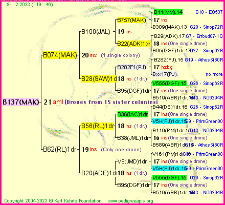 Pedigree of B137(MAK) :
four generations presented
it's temporarily unavailable, sorry!