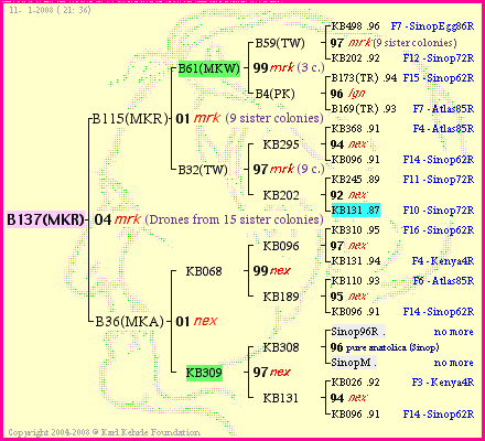 Pedigree of B137(MKR) :
four generations presented