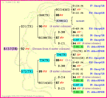 Pedigree of B137(TR) :
four generations presented<br />it's temporarily unavailable, sorry!