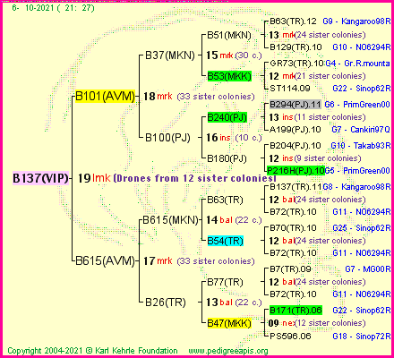 Pedigree of B137(VIP) :
four generations presented
it's temporarily unavailable, sorry!