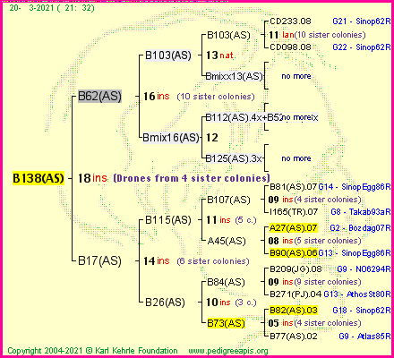 Pedigree of B138(AS) :
four generations presented
it's temporarily unavailable, sorry!