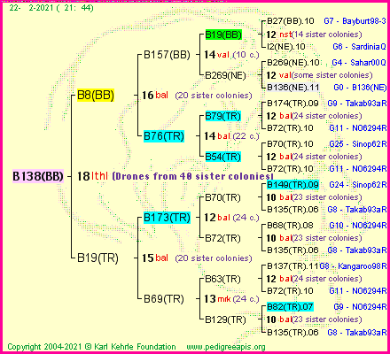 Pedigree of B138(BB) :
four generations presented
it's temporarily unavailable, sorry!