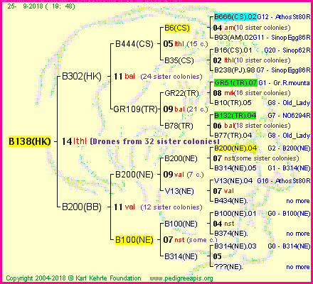 Pedigree of B138(HK) :
four generations presented<br />it's temporarily unavailable, sorry!