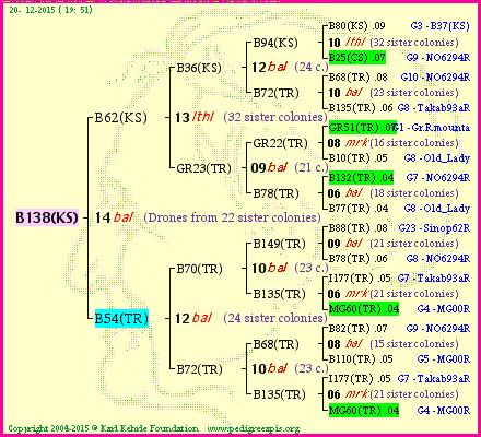 Pedigree of B138(KS) :
four generations presented