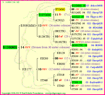 Pedigree of B138(ND) :
four generations presented