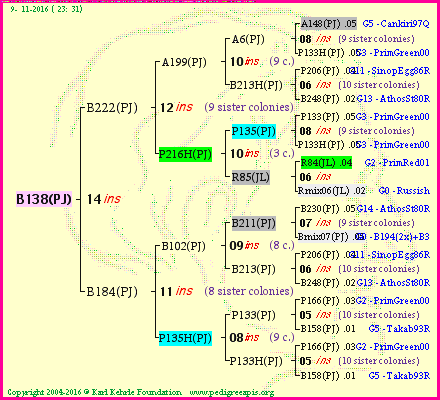 Pedigree of B138(PJ) :
four generations presented<br />it's temporarily unavailable, sorry!