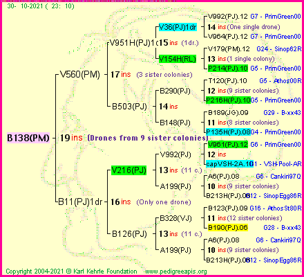 Pedigree of B138(PM) :
four generations presented
it's temporarily unavailable, sorry!