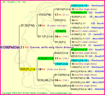 Pedigree of B138(PM)3dr :
four generations presented
it's temporarily unavailable, sorry!