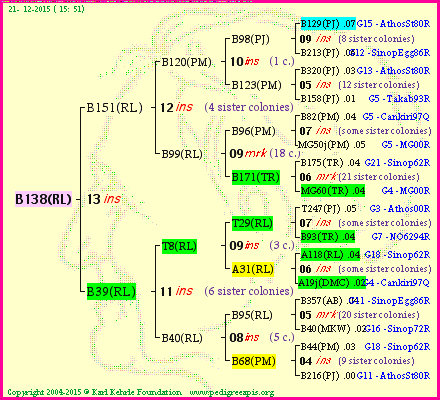 Pedigree of B138(RL) :
four generations presented