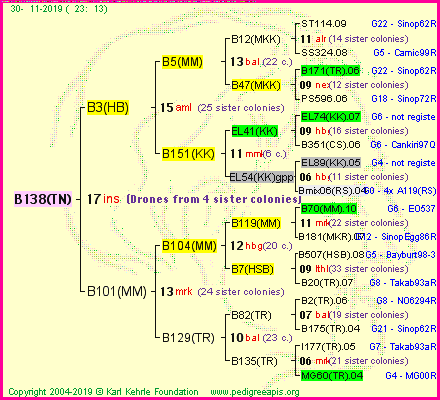 Pedigree of B138(TN) :
four generations presented
it's temporarily unavailable, sorry!