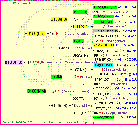 Pedigree of B139(FB) :
four generations presented<br />it's temporarily unavailable, sorry!