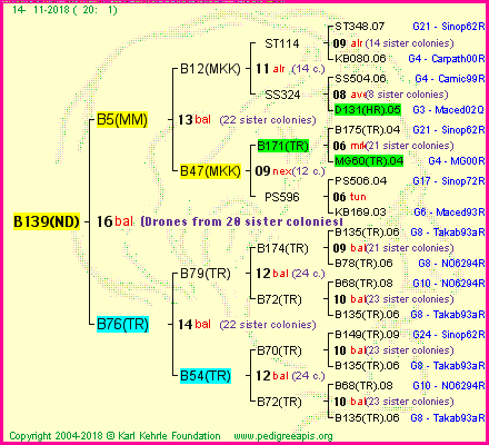 Pedigree of B139(ND) :
four generations presented<br />it's temporarily unavailable, sorry!