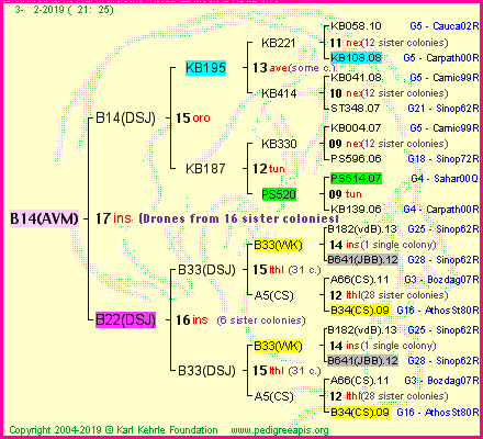 Pedigree of B14(AVM) :
four generations presented<br />it's temporarily unavailable, sorry!