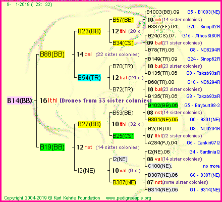 Pedigree of B14(BB) :
four generations presented<br />it's temporarily unavailable, sorry!