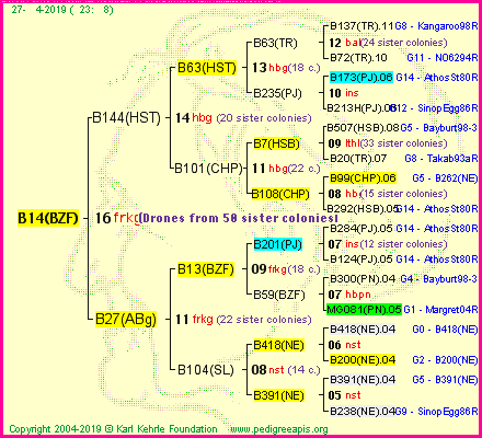 Pedigree of B14(BZF) :
four generations presented<br />it's temporarily unavailable, sorry!