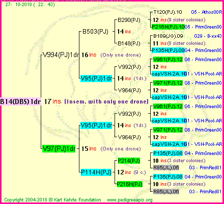 Pedigree of B14(DBS)1dr :
four generations presented<br />it's temporarily unavailable, sorry!