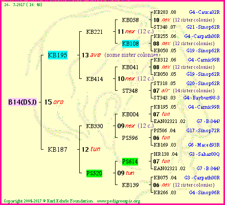 Pedigree of B14(DSJ) :
four generations presented