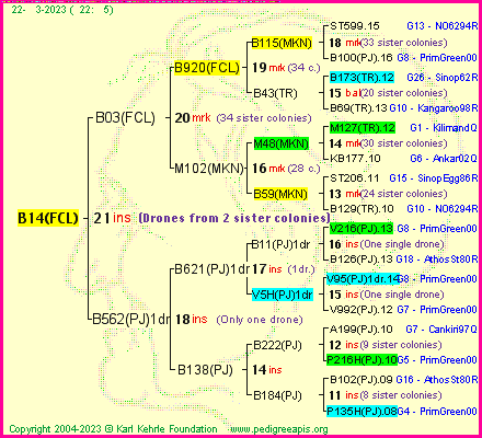 Pedigree of B14(FCL) :
four generations presented
it's temporarily unavailable, sorry!