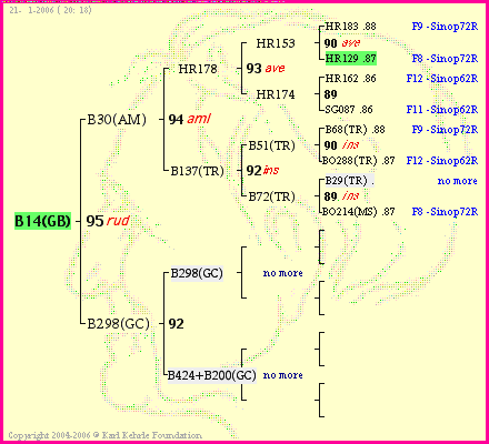 Pedigree of B14(GB) :
four generations presented<br />it's temporarily unavailable, sorry!