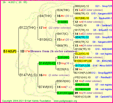 Pedigree of B14(GP) :
four generations presented
it's temporarily unavailable, sorry!