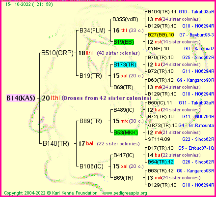 Pedigree of B14(KAS) :
four generations presented
it's temporarily unavailable, sorry!