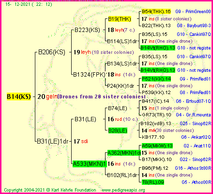 Pedigree of B14(KS) :
four generations presented
it's temporarily unavailable, sorry!