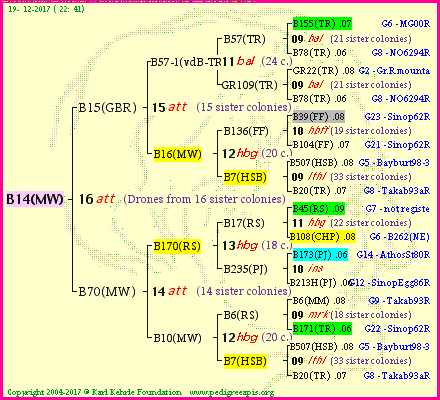 Pedigree of B14(MW) :
four generations presented